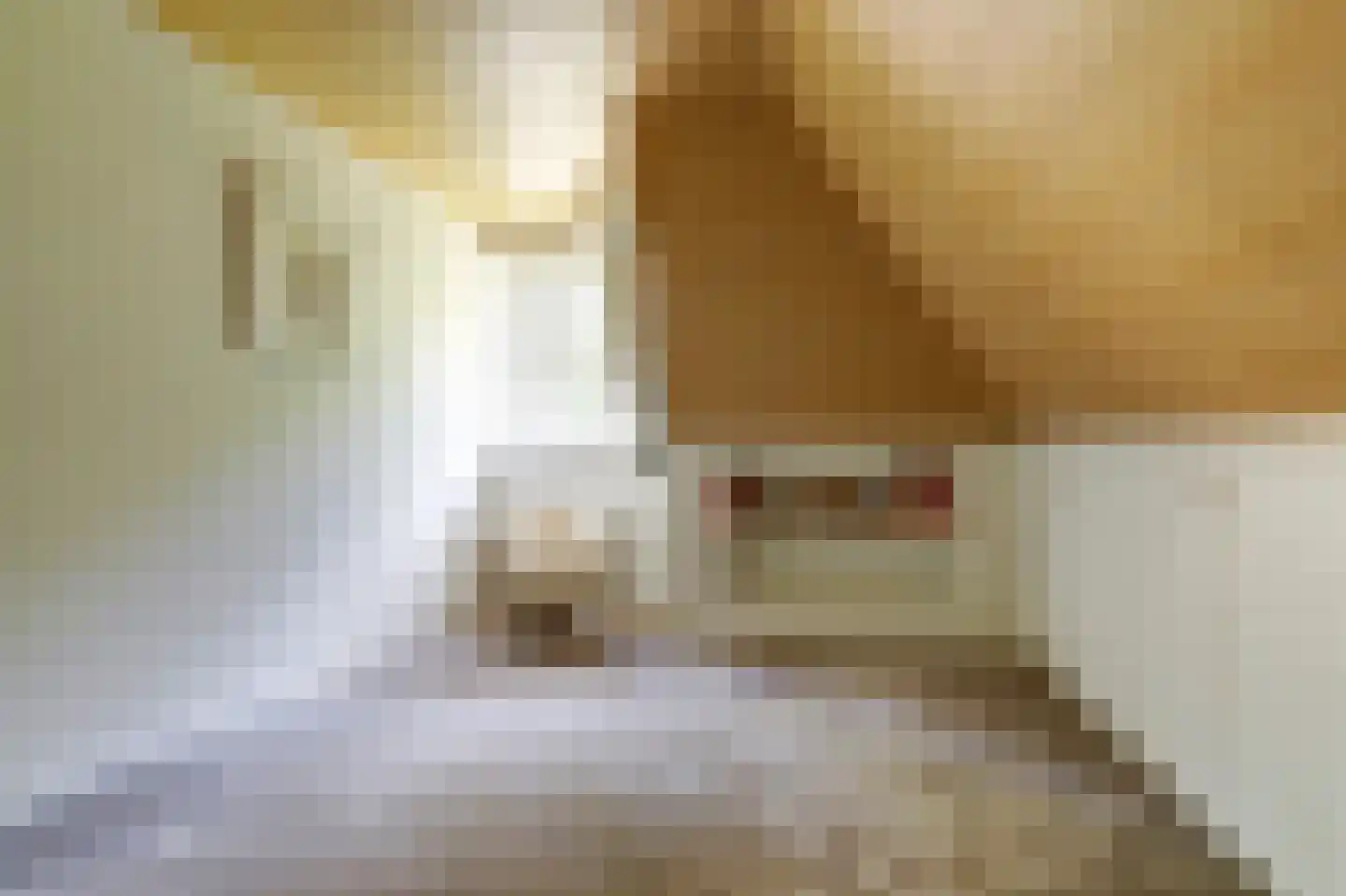 Gilzeweg 51 Chaam thumbnail 38