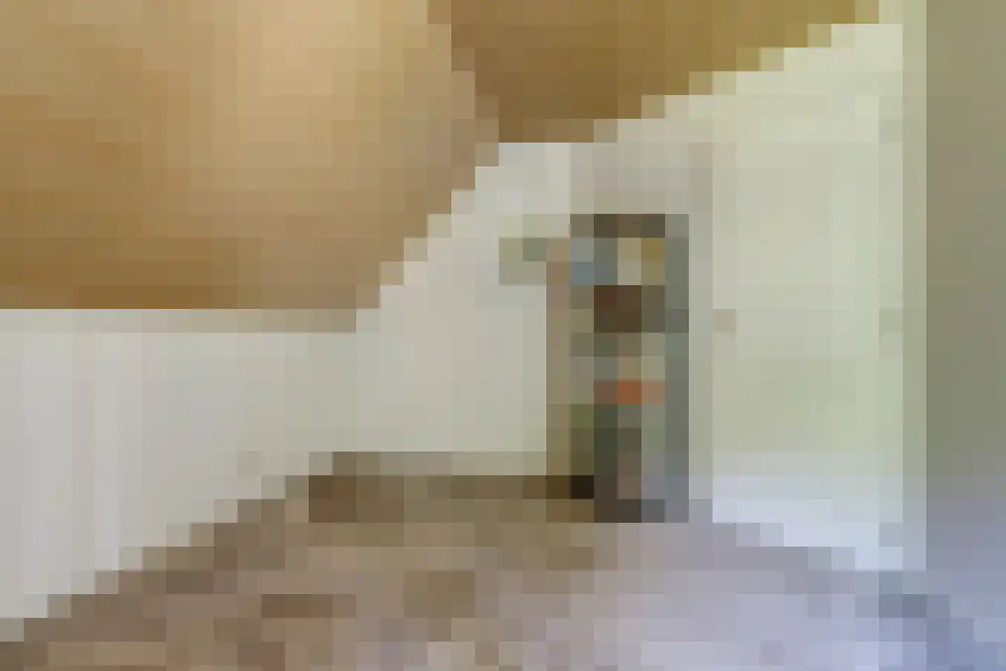 Gilzeweg 51 Chaam thumbnail 39