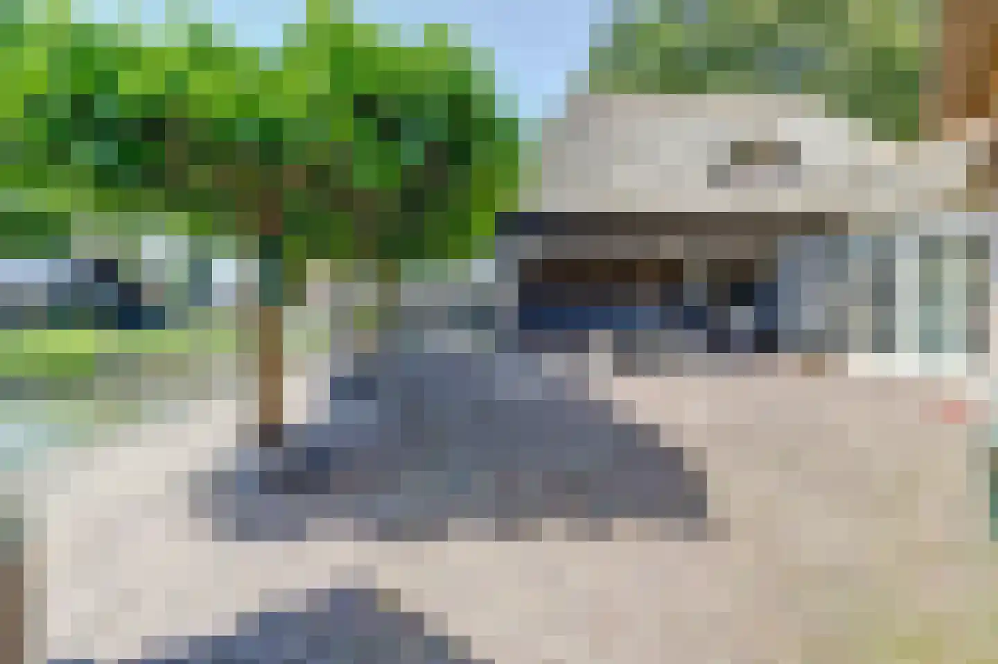 Gilzeweg 51 Chaam thumbnail 48