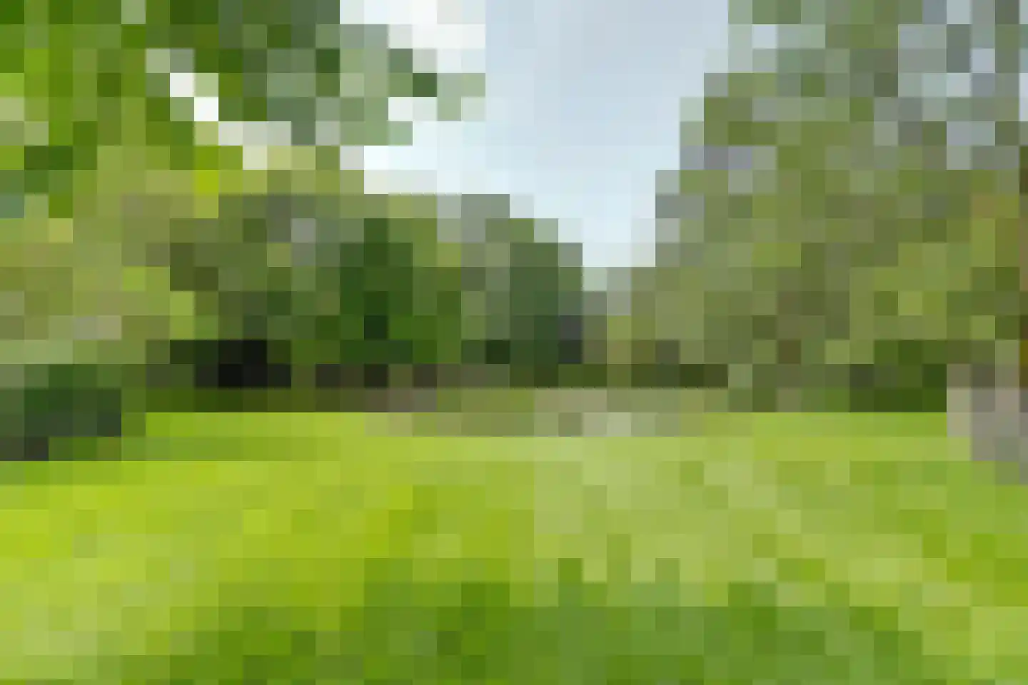 Gilzeweg 51 Chaam thumbnail 54