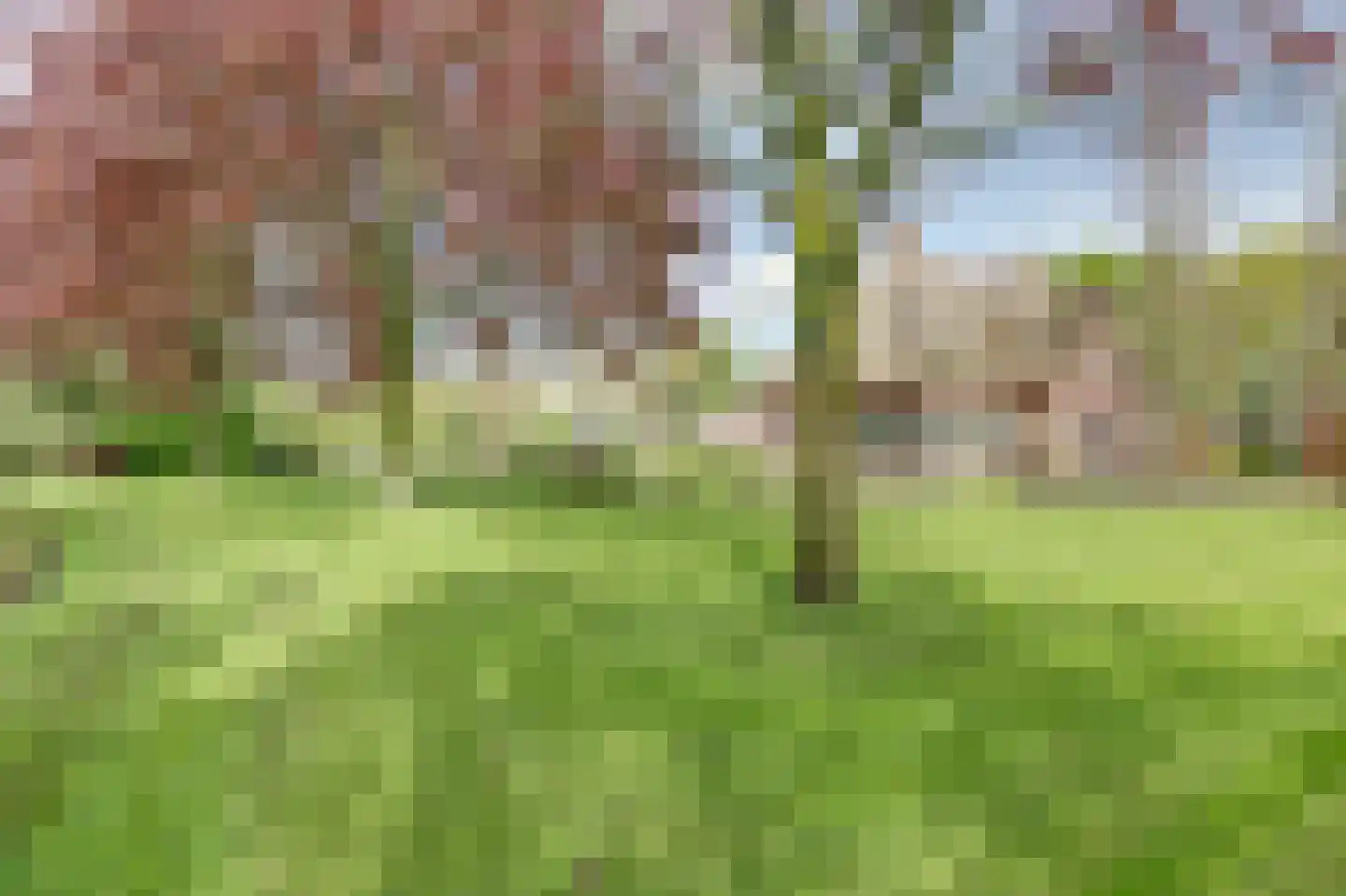 Gilzeweg 51 Chaam thumbnail 55