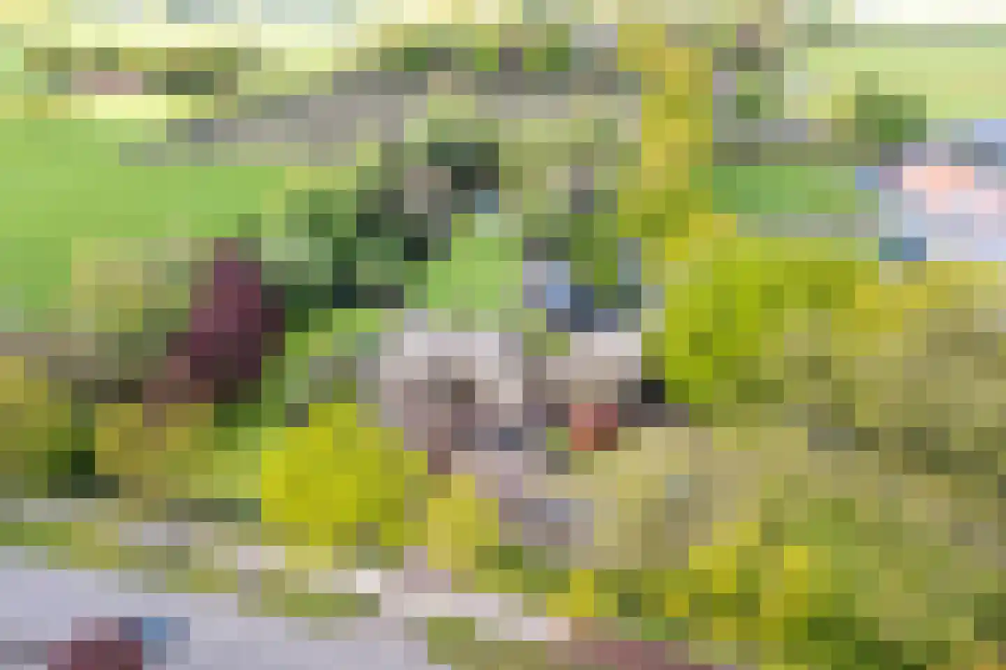 Gilzeweg 51 Chaam thumbnail 6