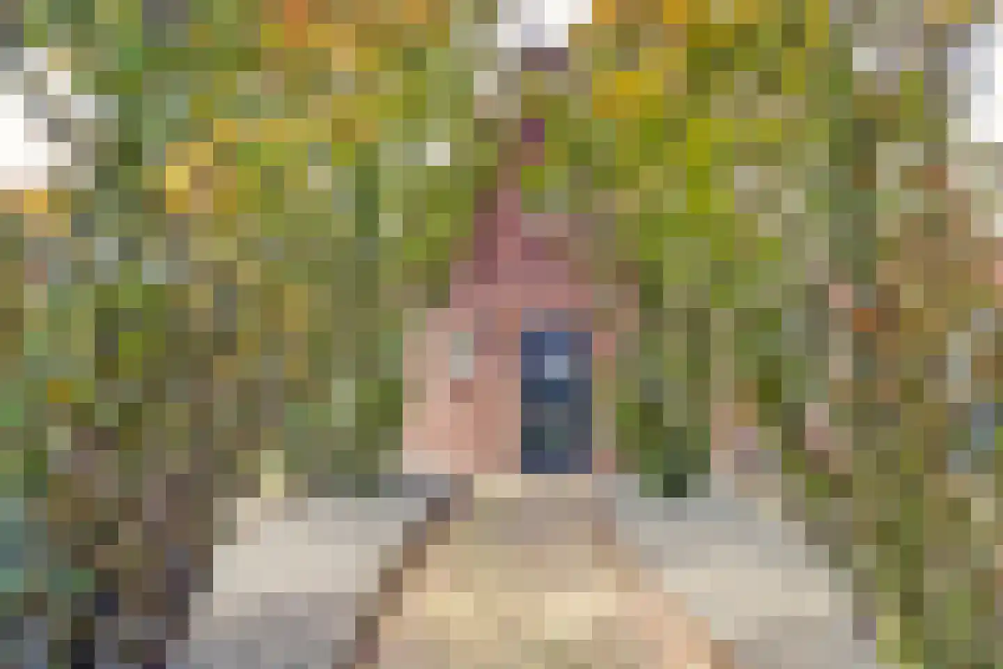 Gilzeweg 51 Chaam thumbnail 61