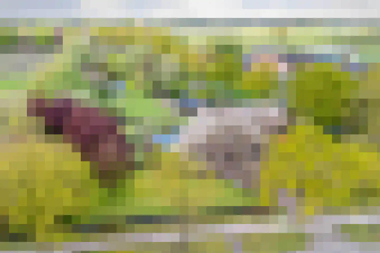 Gilzeweg 51 Chaam thumbnail 68