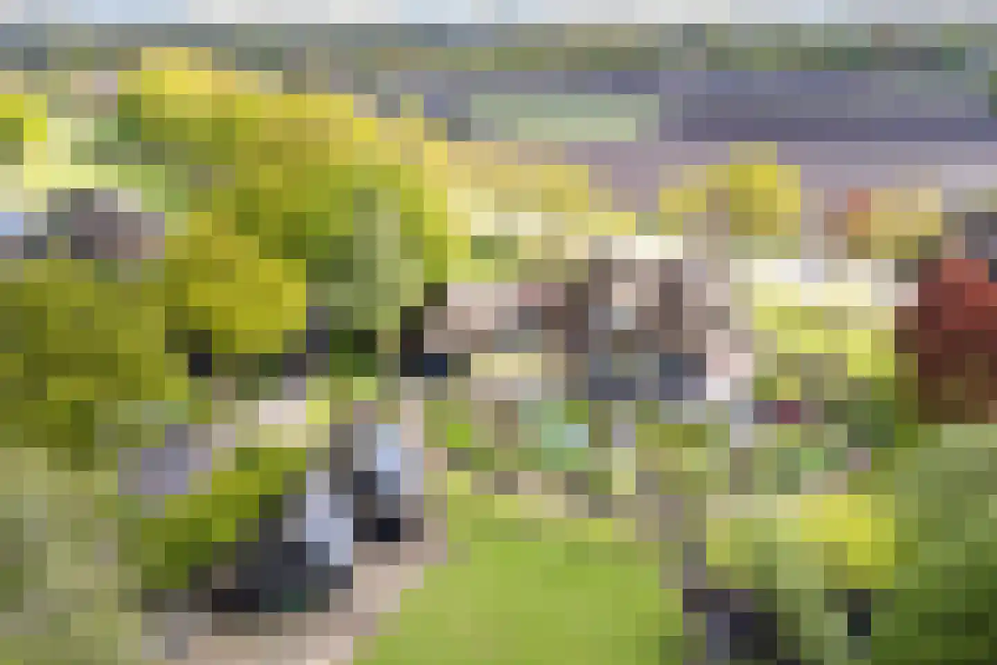Gilzeweg 51 Chaam thumbnail 69