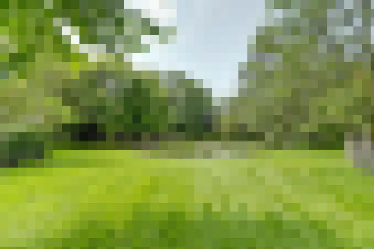 Gilzeweg 51 Chaam thumbnail 7