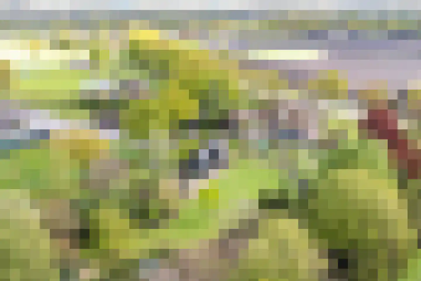 Gilzeweg 51 Chaam thumbnail 70
