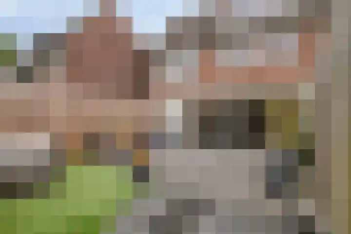Gimbergpad 13 Schiedam thumbnail 13