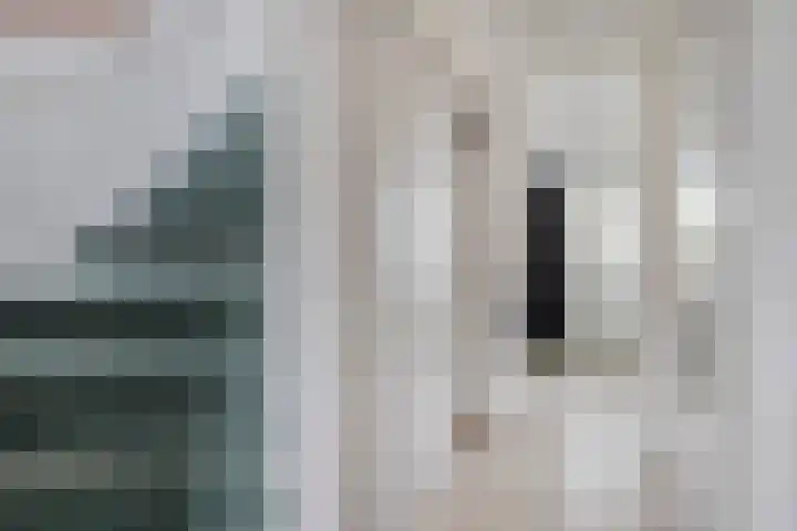 Gimbergpad 13 Schiedam thumbnail 20
