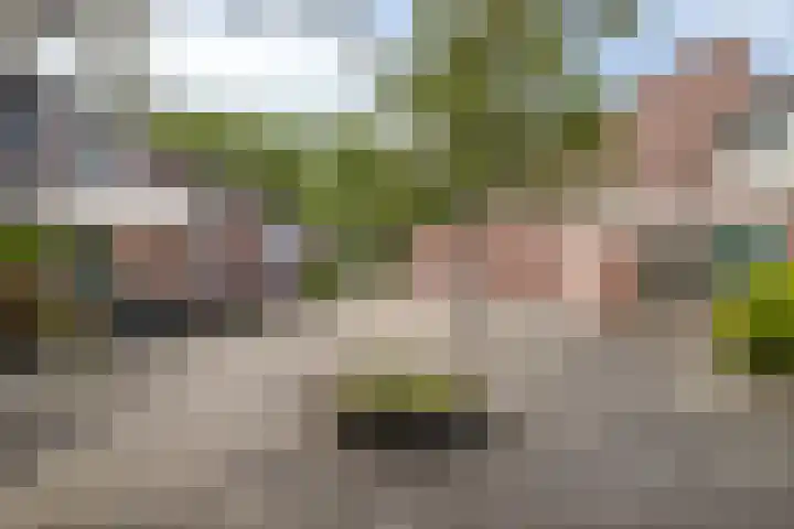 Gimbergpad 13 Schiedam thumbnail 28