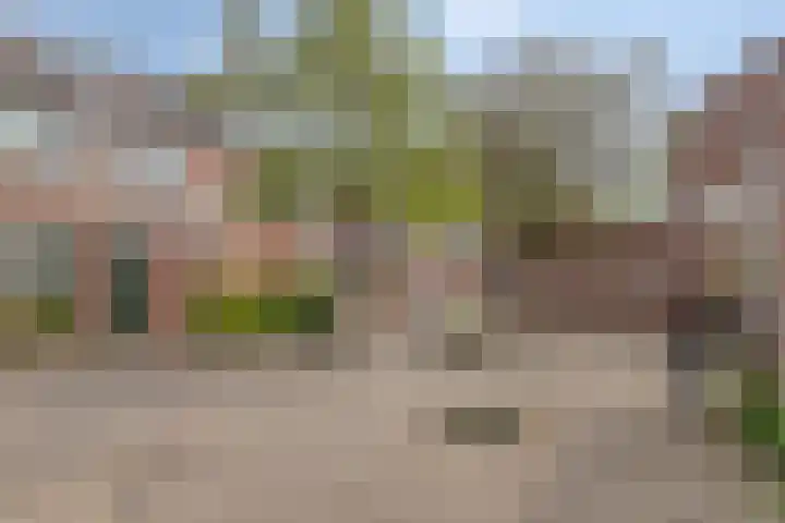Gimbergpad 13 Schiedam thumbnail 29