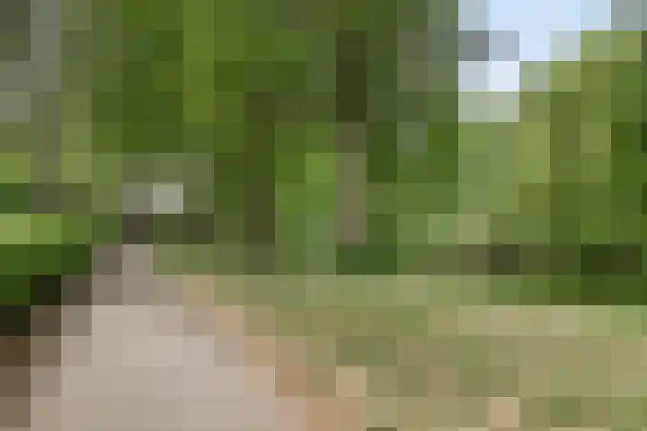Gimbergpad 13 Schiedam thumbnail 30
