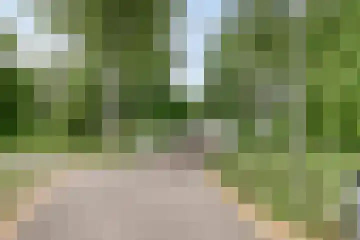 Gimbergpad 13 Schiedam thumbnail 31