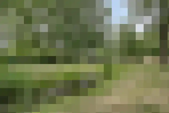 Gimbergpad 13 Schiedam thumbnail 32