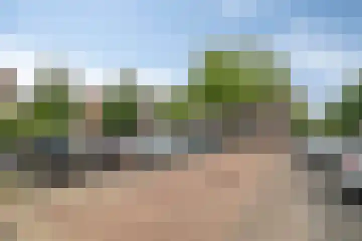Gimbergpad 13 Schiedam thumbnail 33