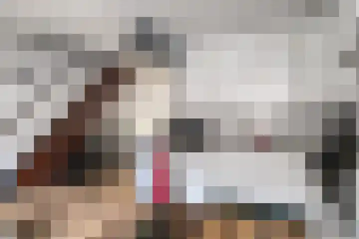 Gimbergpad 13 Schiedam thumbnail 7