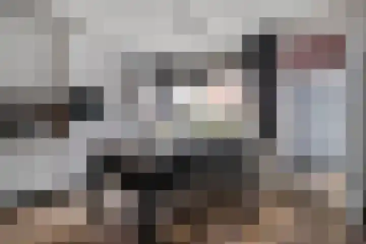 Gimbergpad 13 Schiedam thumbnail 8
