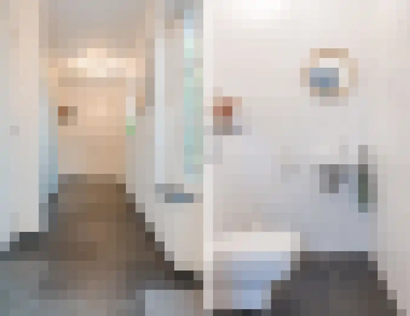 Gimli 2 Geldrop thumbnail 23