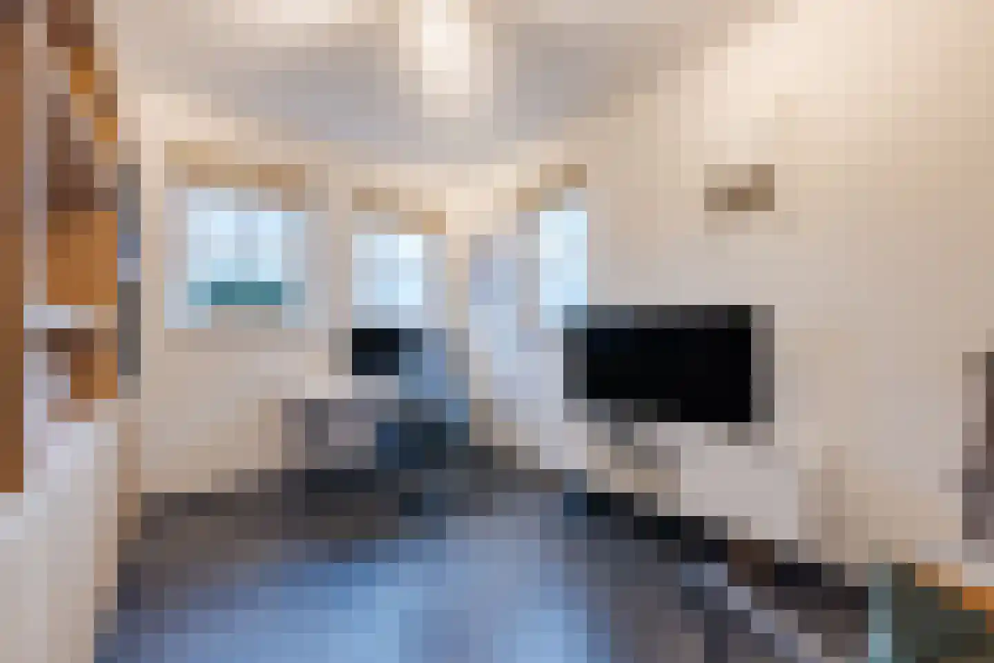 Gimli 2 Geldrop thumbnail 26