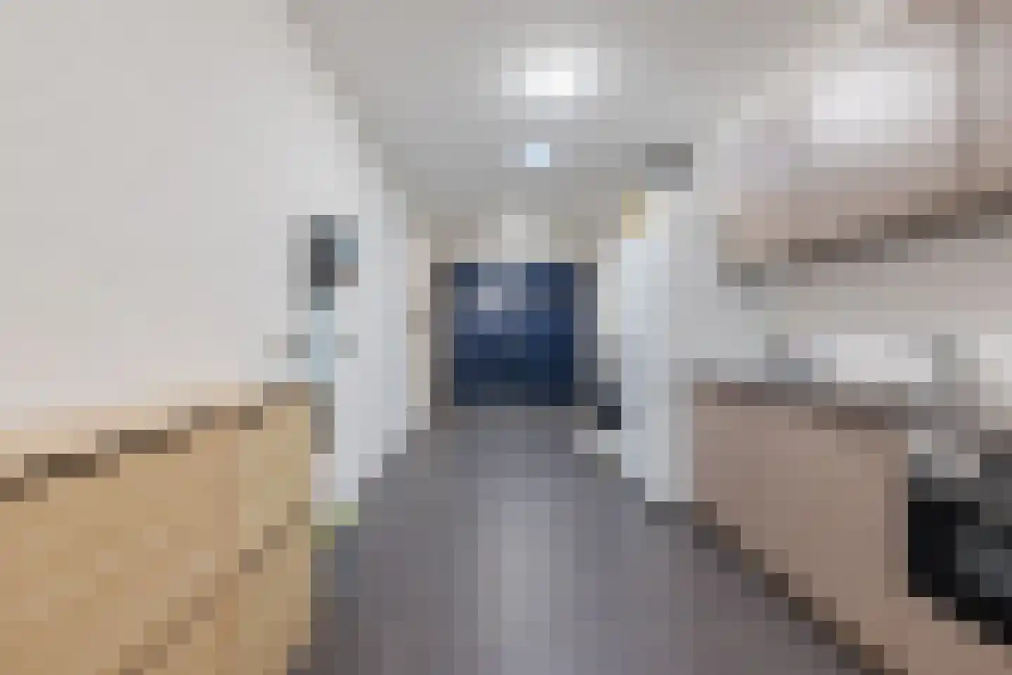 Gimli 2 Geldrop thumbnail 28