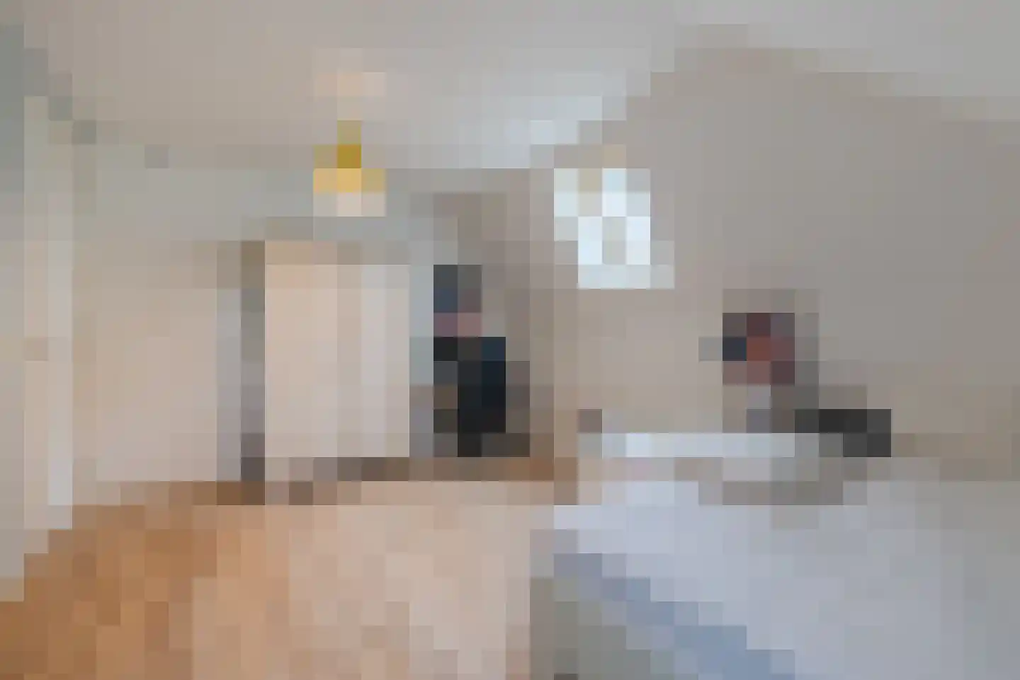 Gimli 2 Geldrop thumbnail 39