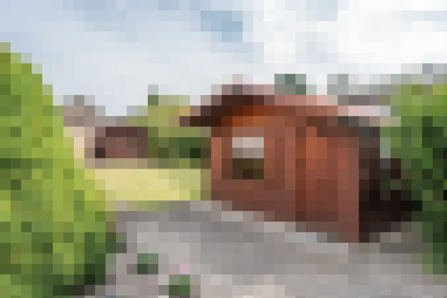 Ginderover 51 Heeze thumbnail 32