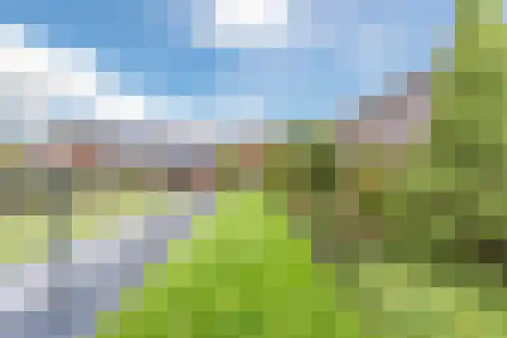 Ginderover 52 Heeze thumbnail 30