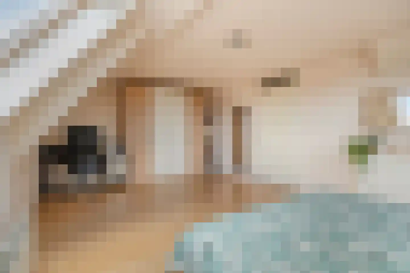 Gindrapassage 19 Bladel thumbnail 28