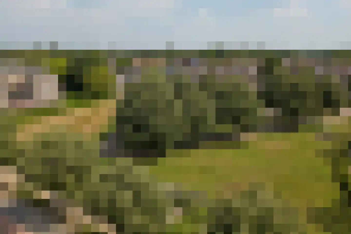 Gindrapassage 22 Bladel thumbnail 42