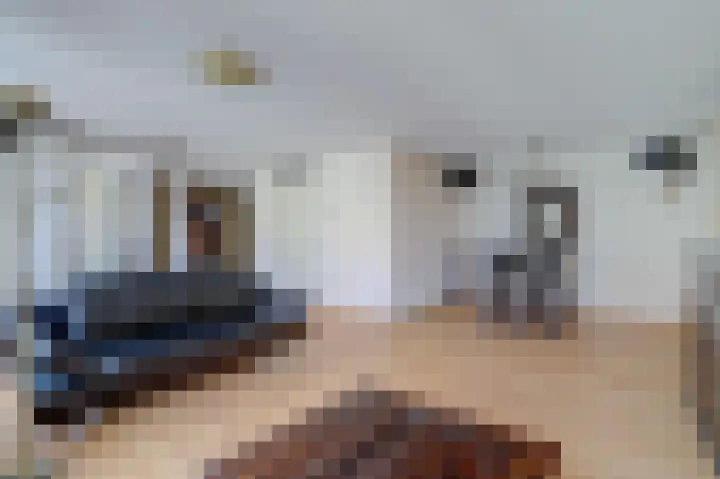Gindrapassage 3 Bladel thumbnail 10