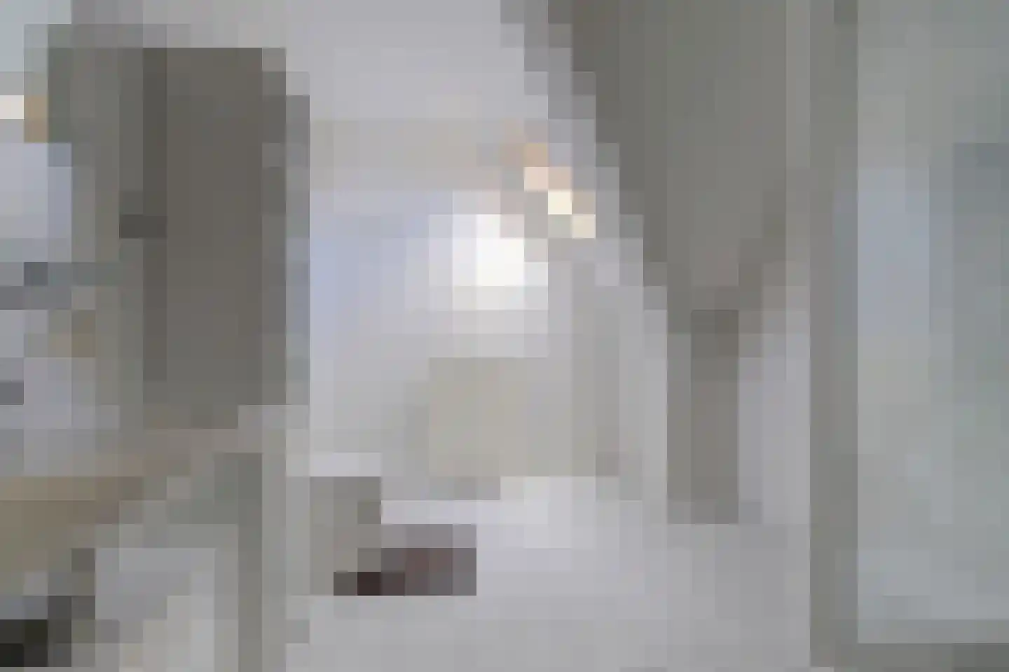 Gindrapassage 3 Bladel thumbnail 23