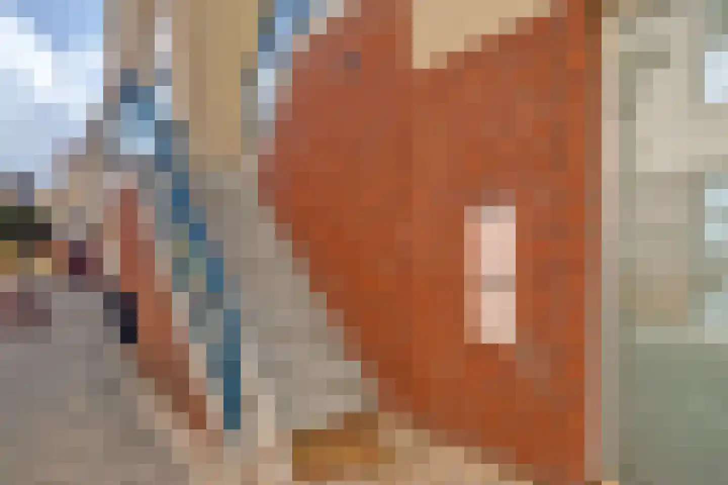 Gindrapassage 3 Bladel thumbnail 33