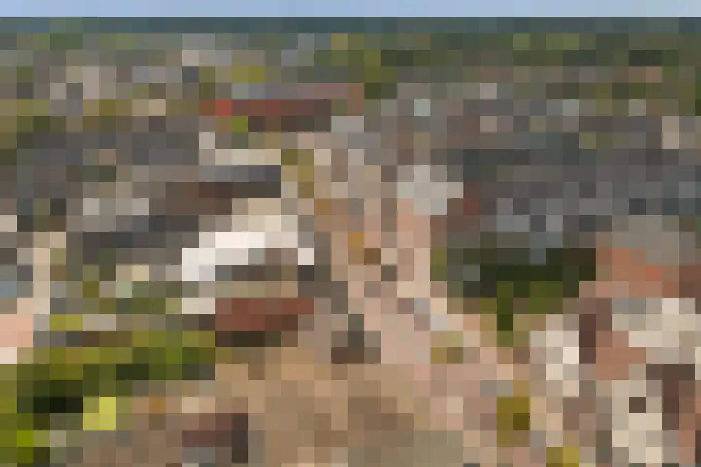 Gindrapassage 3 Bladel thumbnail 42