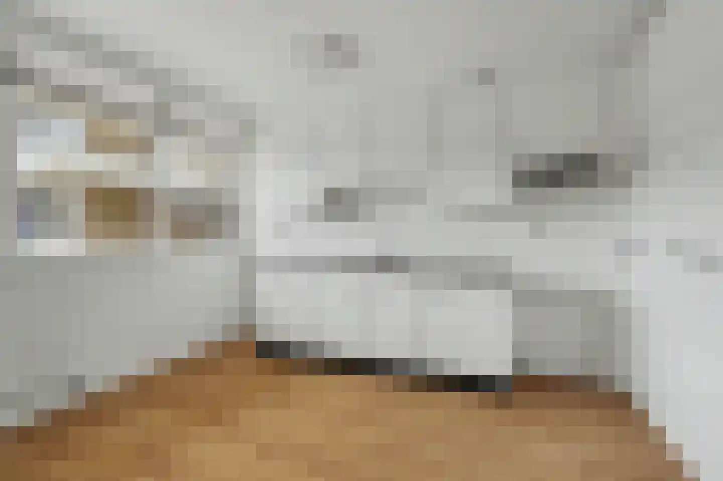 Ginkelstraat 78 Venlo thumbnail 7