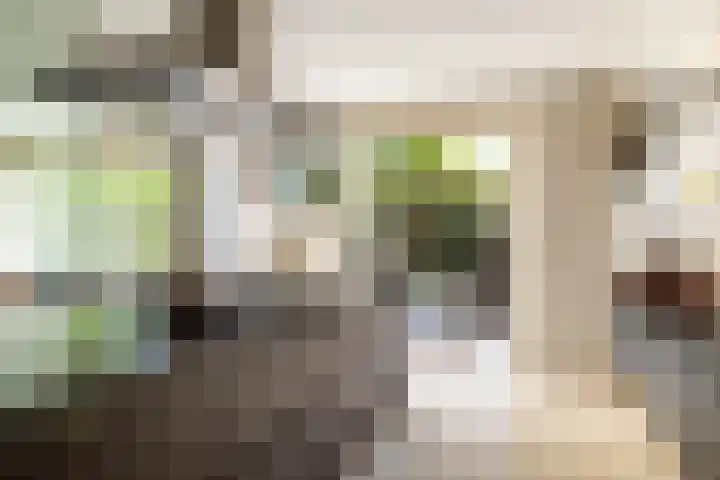 Ginnekenhof 9 Breda thumbnail 17