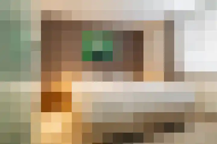Ginnekenhof 9 Breda thumbnail 21