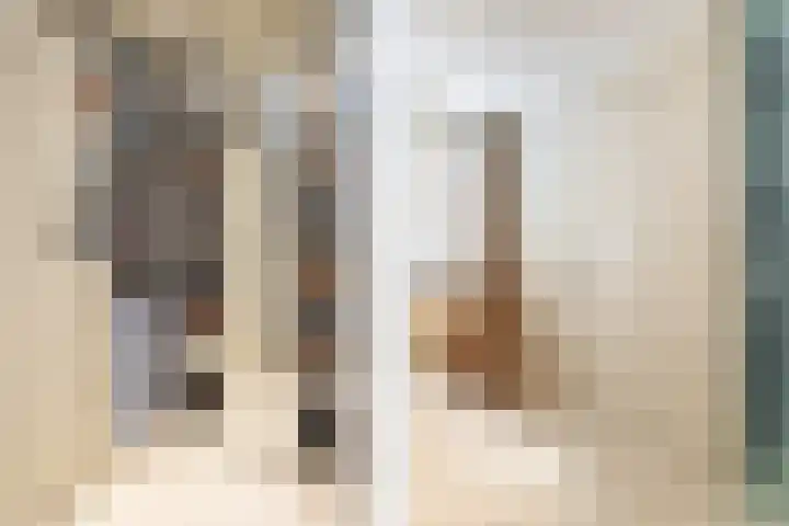 Ginnekenhof 9 Breda thumbnail 23