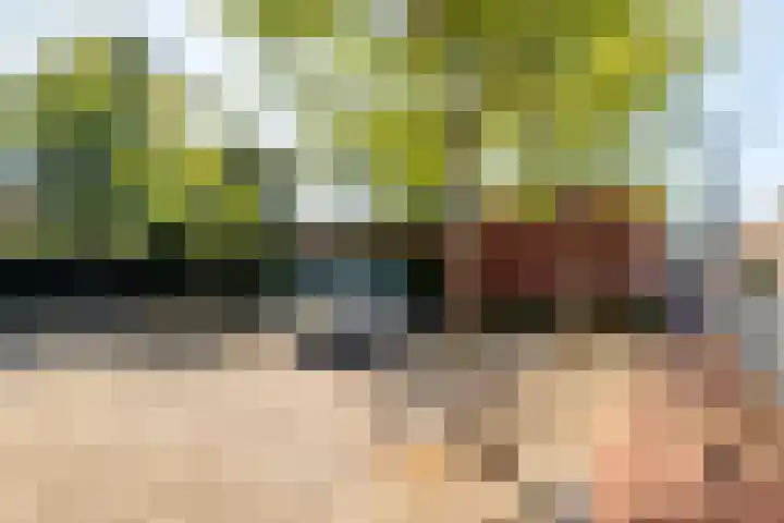 Ginnekenhof 9 Breda thumbnail 4