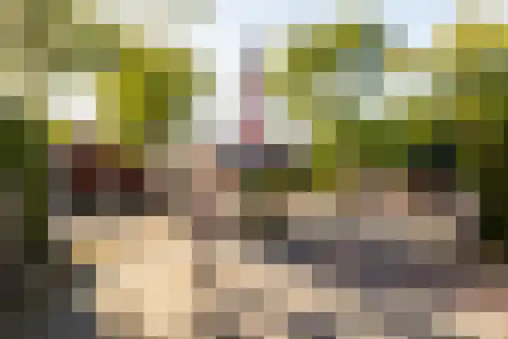 Ginnekenhof 9 Breda thumbnail 42