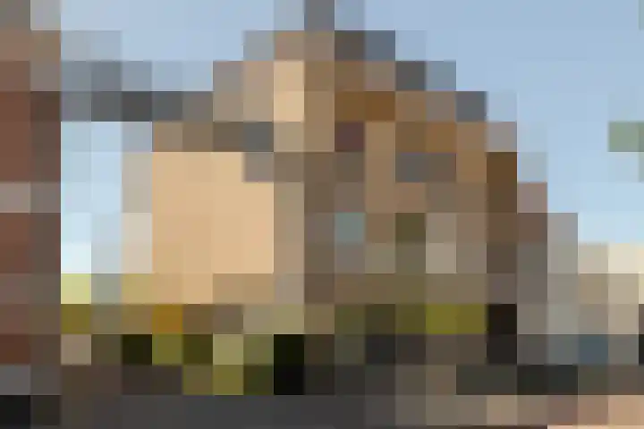 Ginnekenhof 9 Breda thumbnail 43