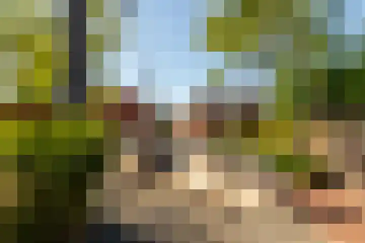 Ginnekenhof 9 Breda thumbnail 5