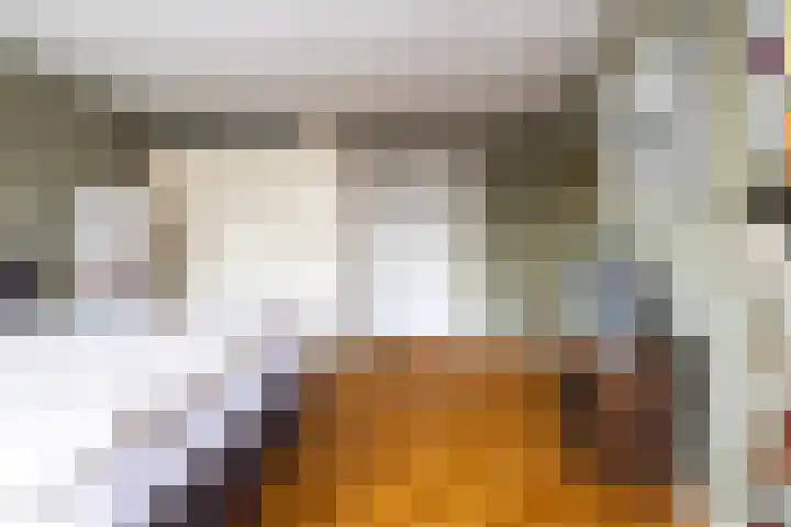 Ginnekenweg 212 Breda thumbnail 22