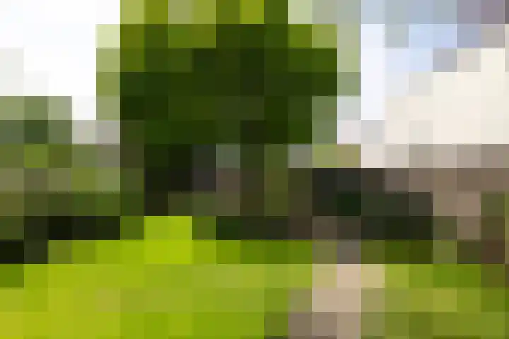 Ginnekenweg 212 Breda thumbnail 37