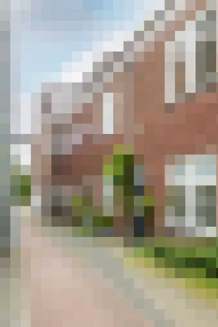 Ginnekenweg 290 A Breda thumbnail 50
