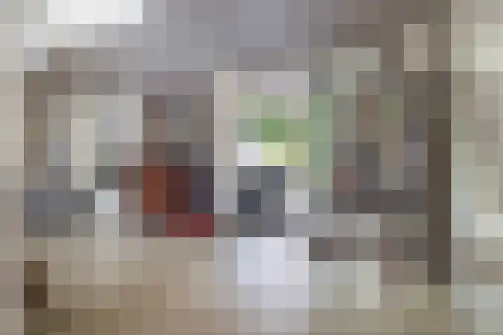 Ginnekenweg 330 Breda thumbnail 13