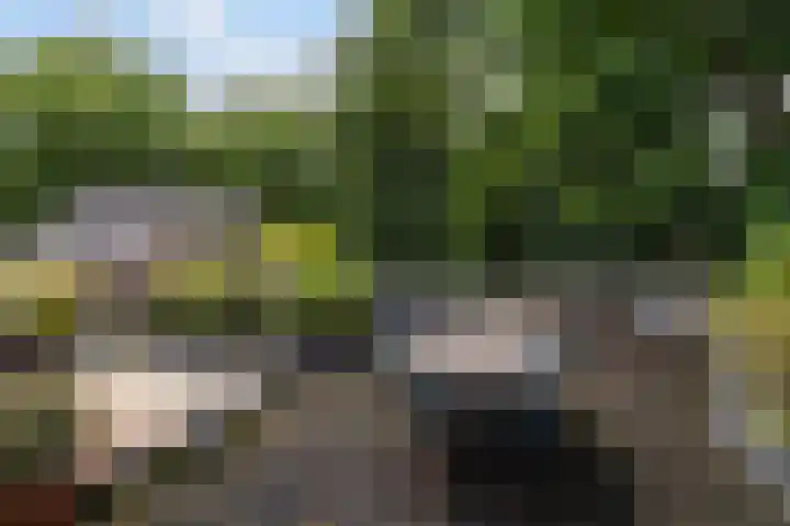 Ginnekenweg 330 Breda thumbnail 23