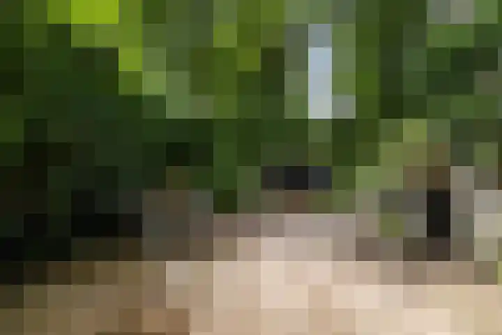 Ginnekenweg 330 Breda thumbnail 25