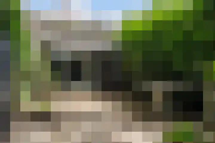 Ginnekenweg 330 Breda thumbnail 26