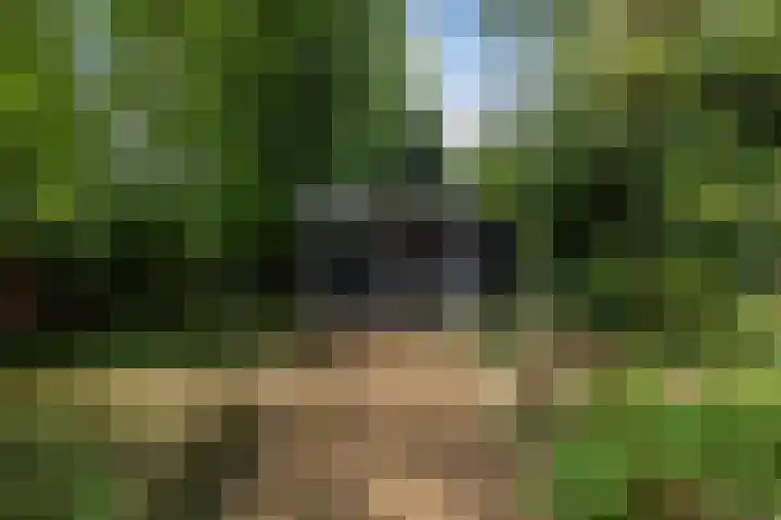 Ginnekenweg 330 Breda thumbnail 27