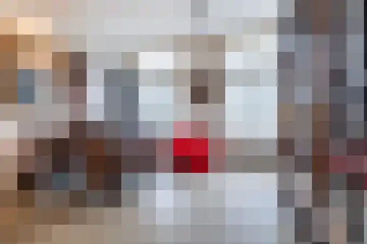 Ginnekenweg 330 Breda thumbnail 32